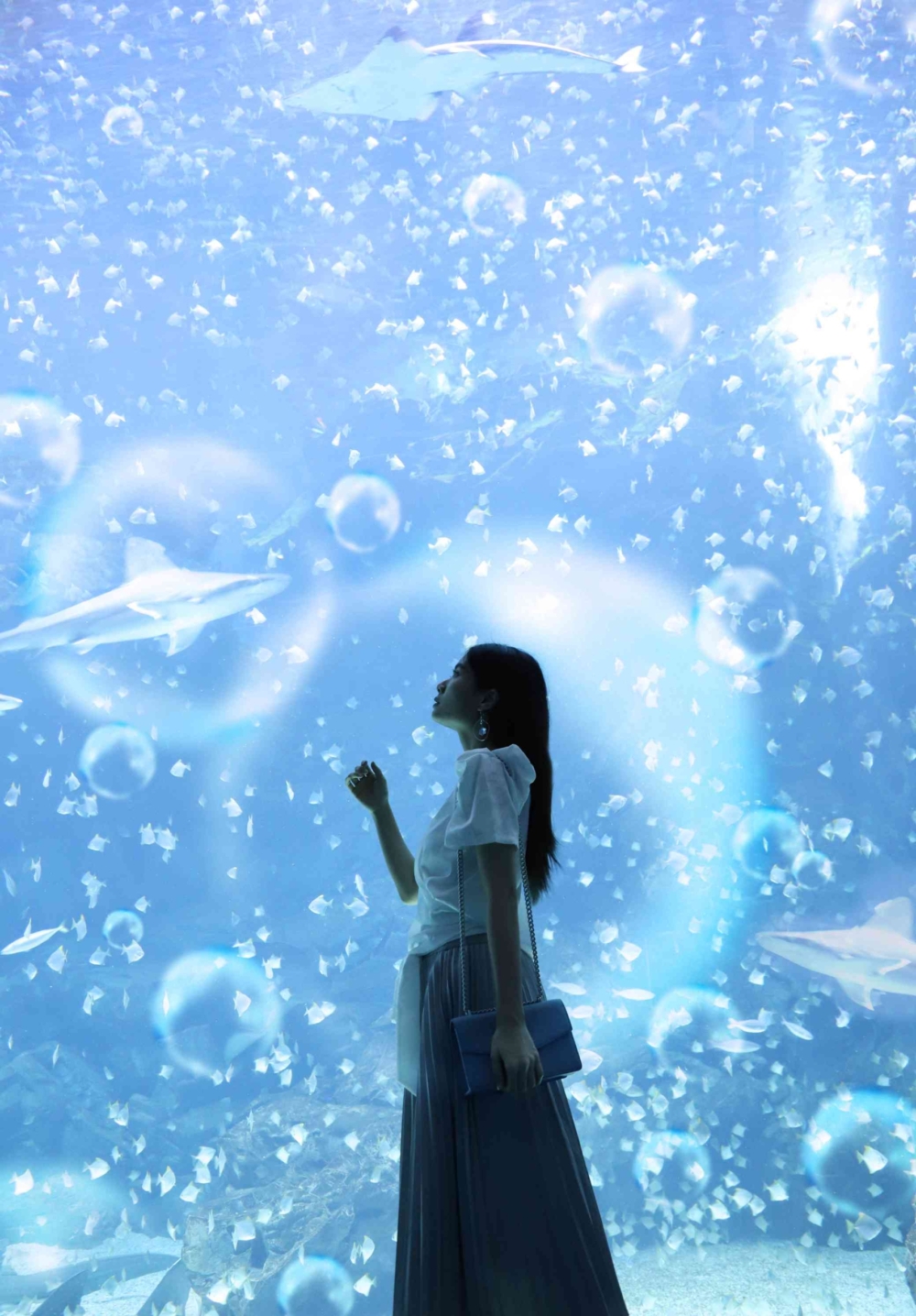 海洋藍